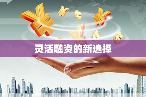 连南灵活融资的新选择