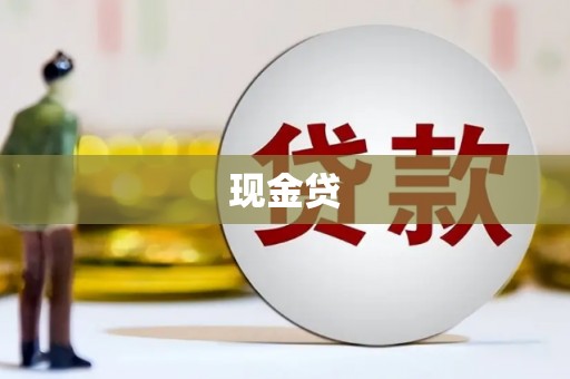 连南现金贷