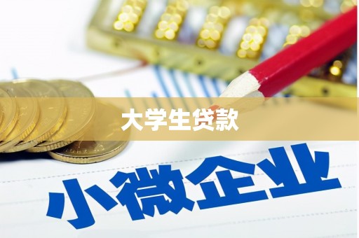 连南大学生贷款